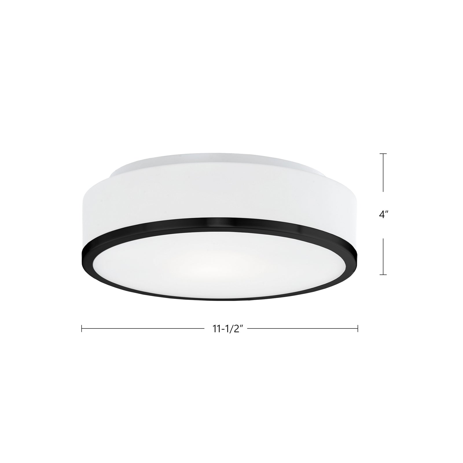 Charlie 12-in Black 2 Lights Flush Mount