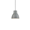 Cradle 13-in Gray 1 Light Pendant