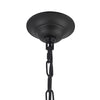 Crosby 33-in Matte Black Socket Chandelier