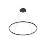 Compass 48" Pendant - Black