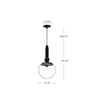 Delilah 10-in Clear Glass/Matte Black 1 Light Pendant
