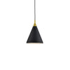 Dorothy 10-in Black With Gold Detail 1 Light Pendant