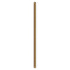 Fan Downrod 36-in Brushed Gold