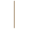 Fan Downrod 48-in Brushed Gold