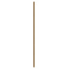 Fan Downrod 60-in Brushed Gold