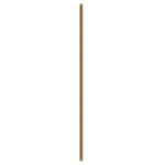 Fan Downrod 60-in Brushed Gold