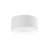 Trenton 5-in White LED Exterior Ceiling