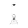 Emerson 11-in Matte Black/Clear Glass 1 Light Pendant