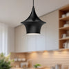 Emiko 9-in Matte Black 1 Light Pendant