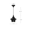Emiko 9-in Brushed Gold 1 Light Pendant
