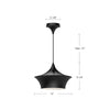 Emiko 12-in Brushed Gold 1 Light Pendant