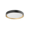 Essex 16-in Black/Gold LED Flush Mount
