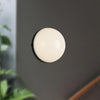 Globo 7-in Matte Black LED Wall/Vanity