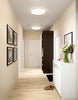 Hampton 17-in Clear LED Flush Mount