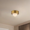 Harvey 12-in Brushed Gold Socket Semi-Flush Mount
