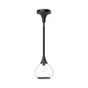 Hazel 6-in Clear Glass/Matte Black 1 Light Pendant