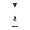 Hazel 10-in Clear Glass/Matte Black 1 Light Pendant