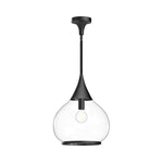 Hazel 14-in Clear Glass/Matte Black 1 Light Pendant