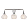 Hazel 26-in Chrome/Clear Glass 3 Lights Vanity