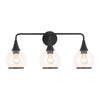 Hazel 26-in Clear Glass/Matte Black 3 Lights Vanity