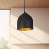 Helena 8-in Black/Gold 1 Light Pendant