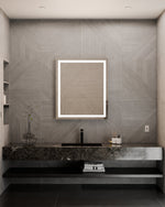 Integrity™ LED Lighted Mirror