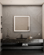 Integrity™ LED Lighted Mirror