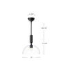 Jude 12-in Clear Glass/Matte Black 1 Light Pendant