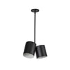 Keiko 14-in Black 2 Lights Pendant