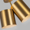 Keiko 14-in Brushed Gold 2 Lights Semi-Flush