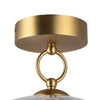 Leota 8-in Brushed Gold/Clear Glass LED Semi-Flush Mount