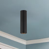Lorna 10-in (2-in Dia.) 36 Degree Optic Black LED Concrete Ceiling Mount
