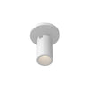 Lorna 6-in (2-in Dia.) 36 Degree Optic White LED Adjustable Ceiling Mount