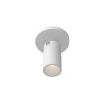 Lorna 6-in (2-in Dia.) 36 Degree Optic White LED Adjustable Ceiling Mount