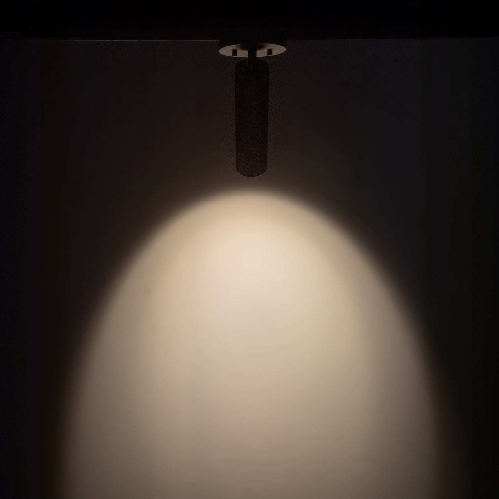 Lorna 9-in (2-in Dia.) 36 Degree Optic Black LED Adjustable Ceiling Mount