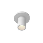 Lorna 4-in (2-in Dia.) 36 Degree Optic White LED Ceiling Mount