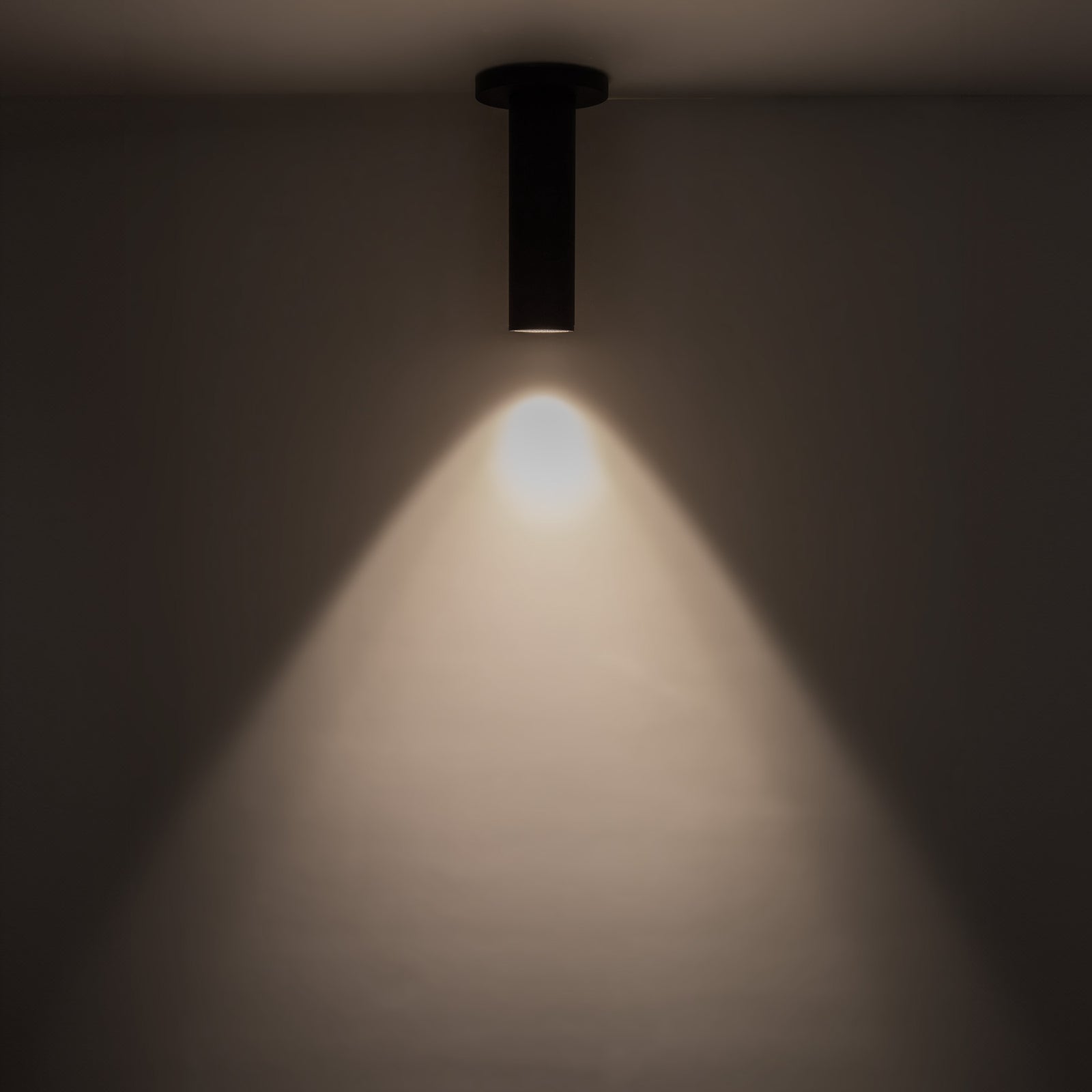 Lorna 8-in (2-in Dia.) 36 Degree Optic Black LED Ceiling Mount