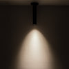 Lorna 12-in (2-in Dia.) 36 Degree Optic Black LED Ceiling Mount
