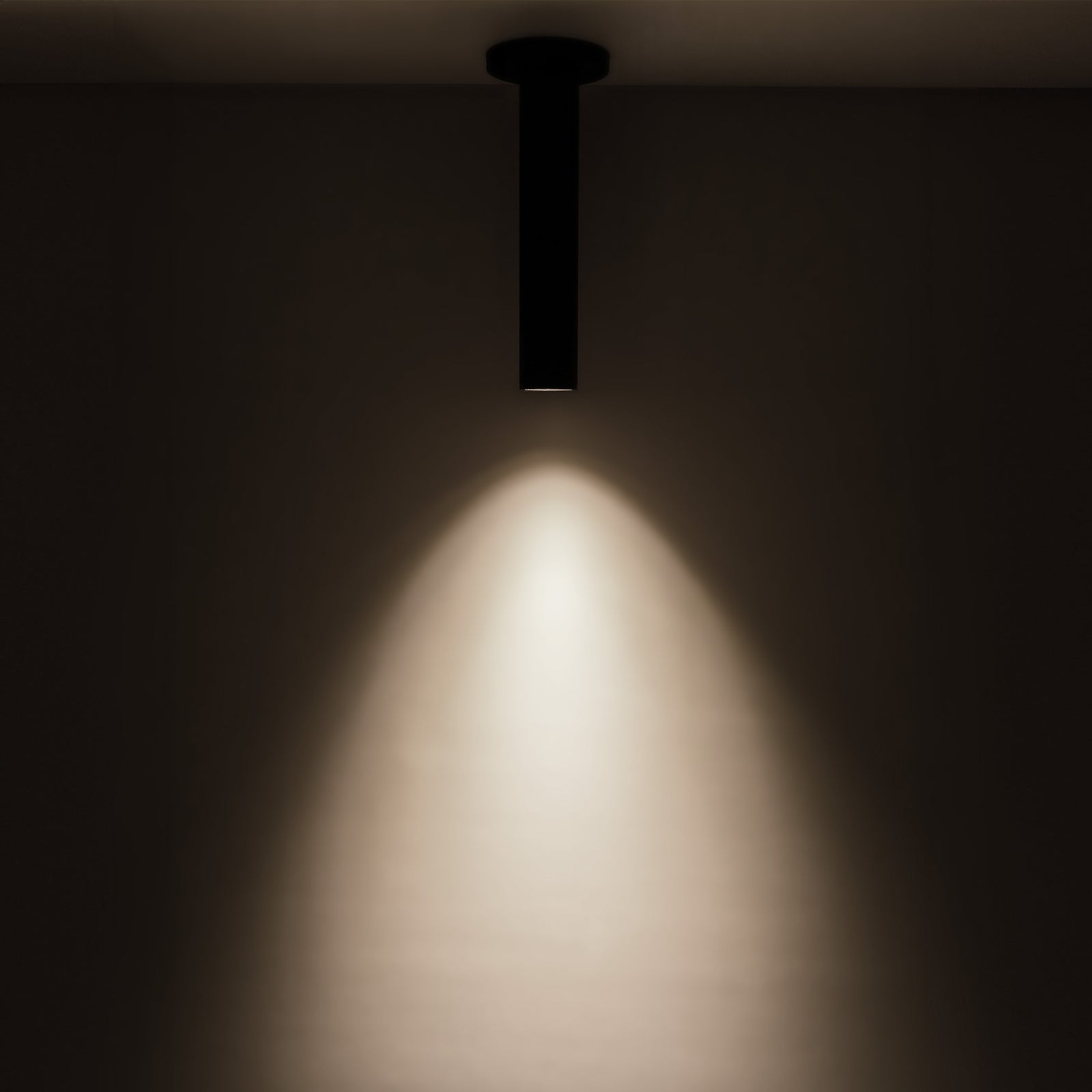 Lorna 12-in (2-in Dia.) 36 Degree Optic Black LED Ceiling Mount