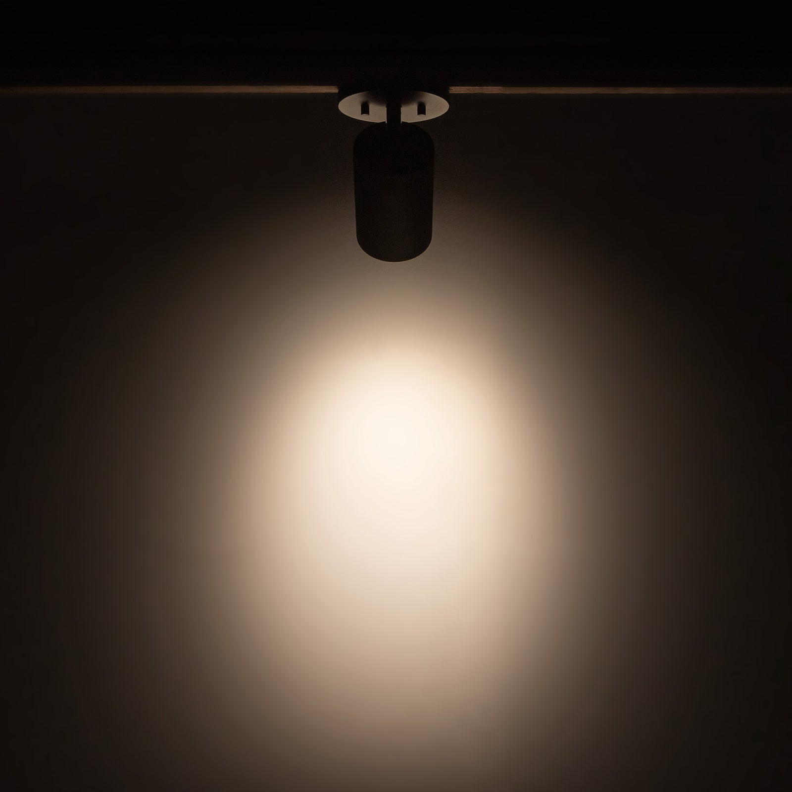 Lorna 6-in (3-in Dia.) 36 Degree Optic Black LED Adjustable Ceiling Mount