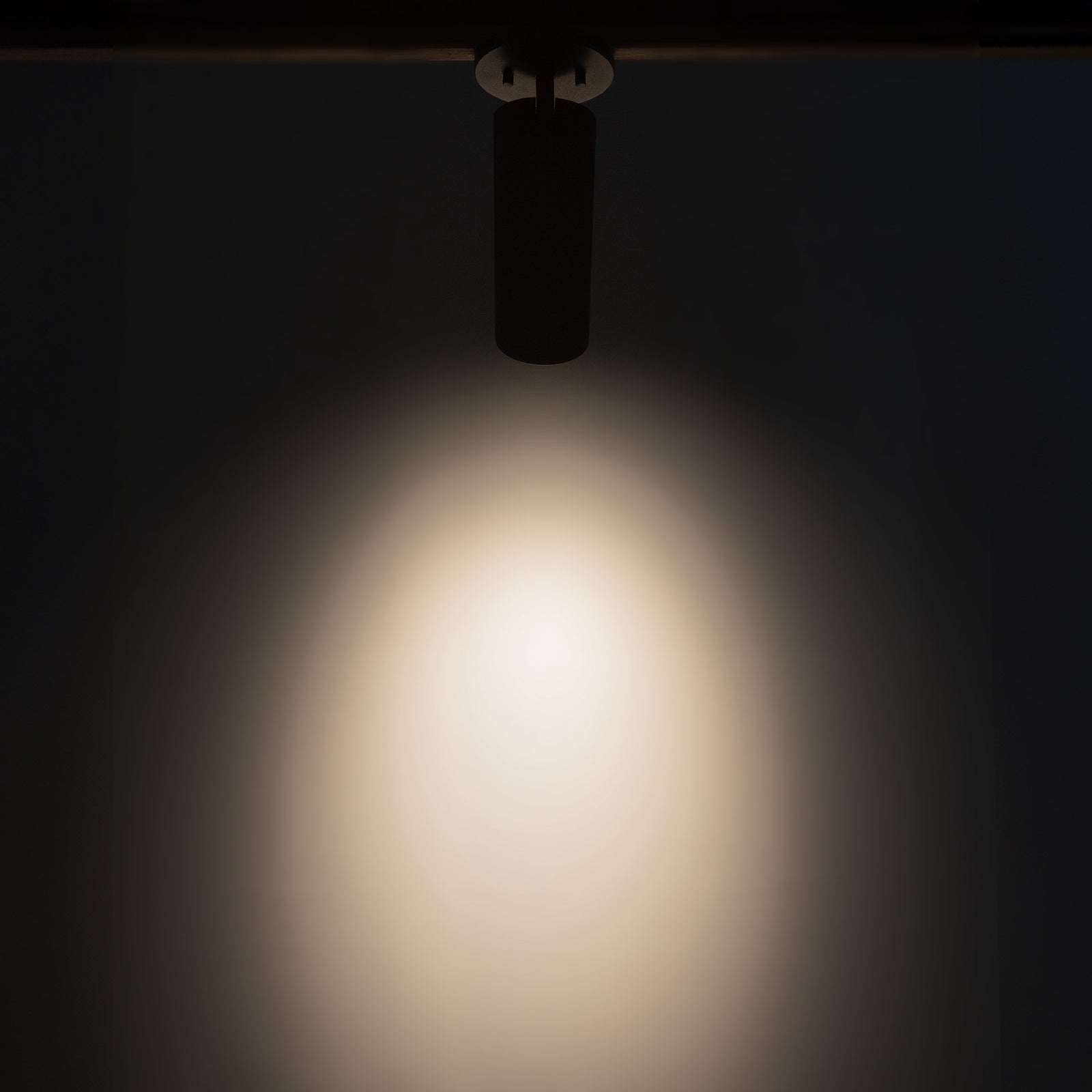Lorna 9-in (3-in Dia.) 36 Degree Optic Black LED Adjustable Ceiling Mount