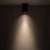 Lorna 4-in (3-in Dia.) 36 Degree Optic Black LED Ceiling Mount