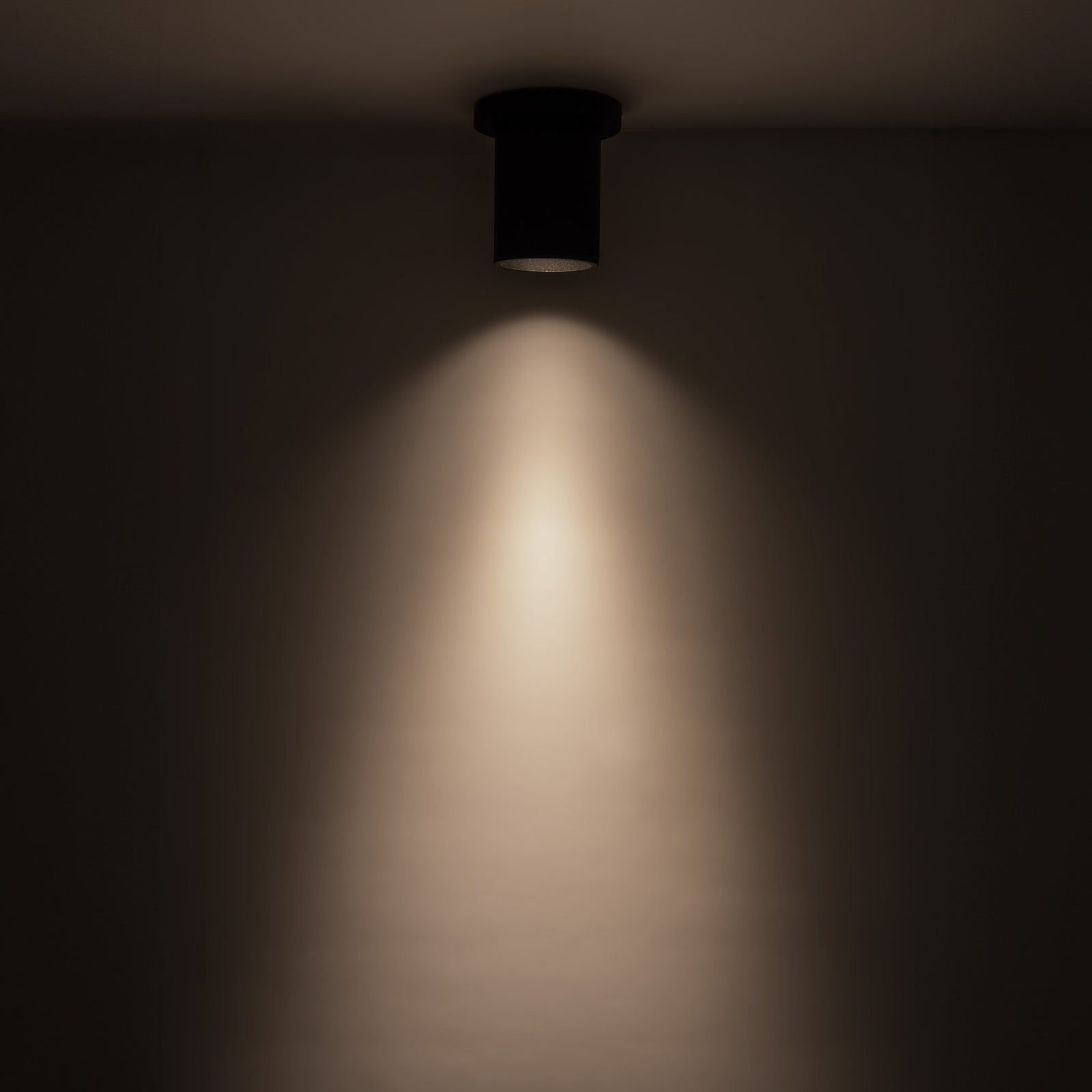 Lorna 4-in (3-in Dia.) 36 Degree Optic Black LED Ceiling Mount