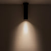 Lorna 12-in (3-in Dia.) 36 Degree Optic Black LED Ceiling Mount