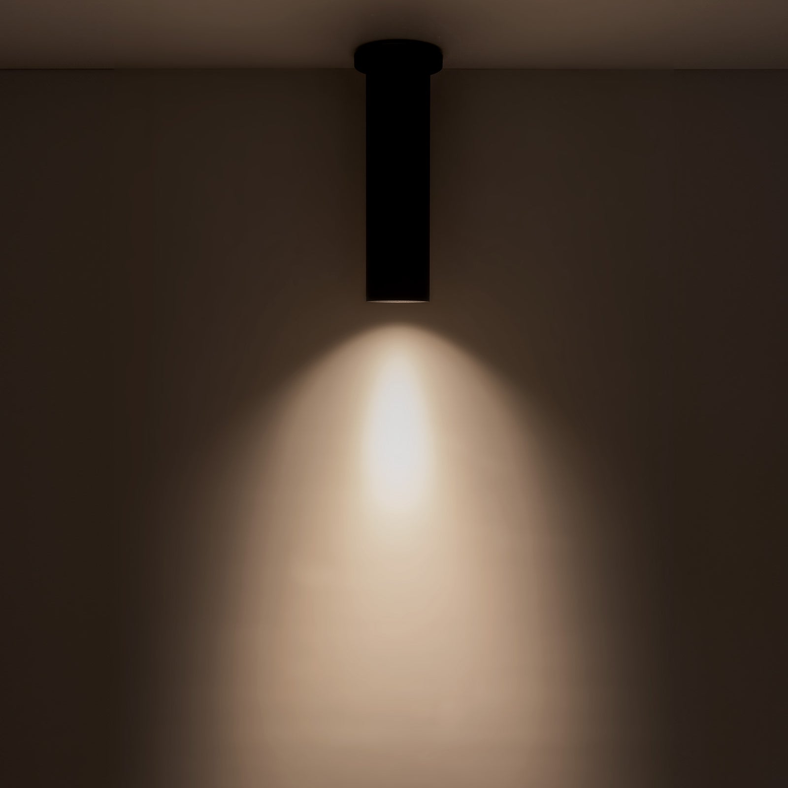 Lorna 12-in (3-in Dia.) 36 Degree Optic Black LED Ceiling Mount