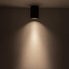 Lorna 6-in (4-in Dia.) 36 Degree Optic Black LED Flush Mount