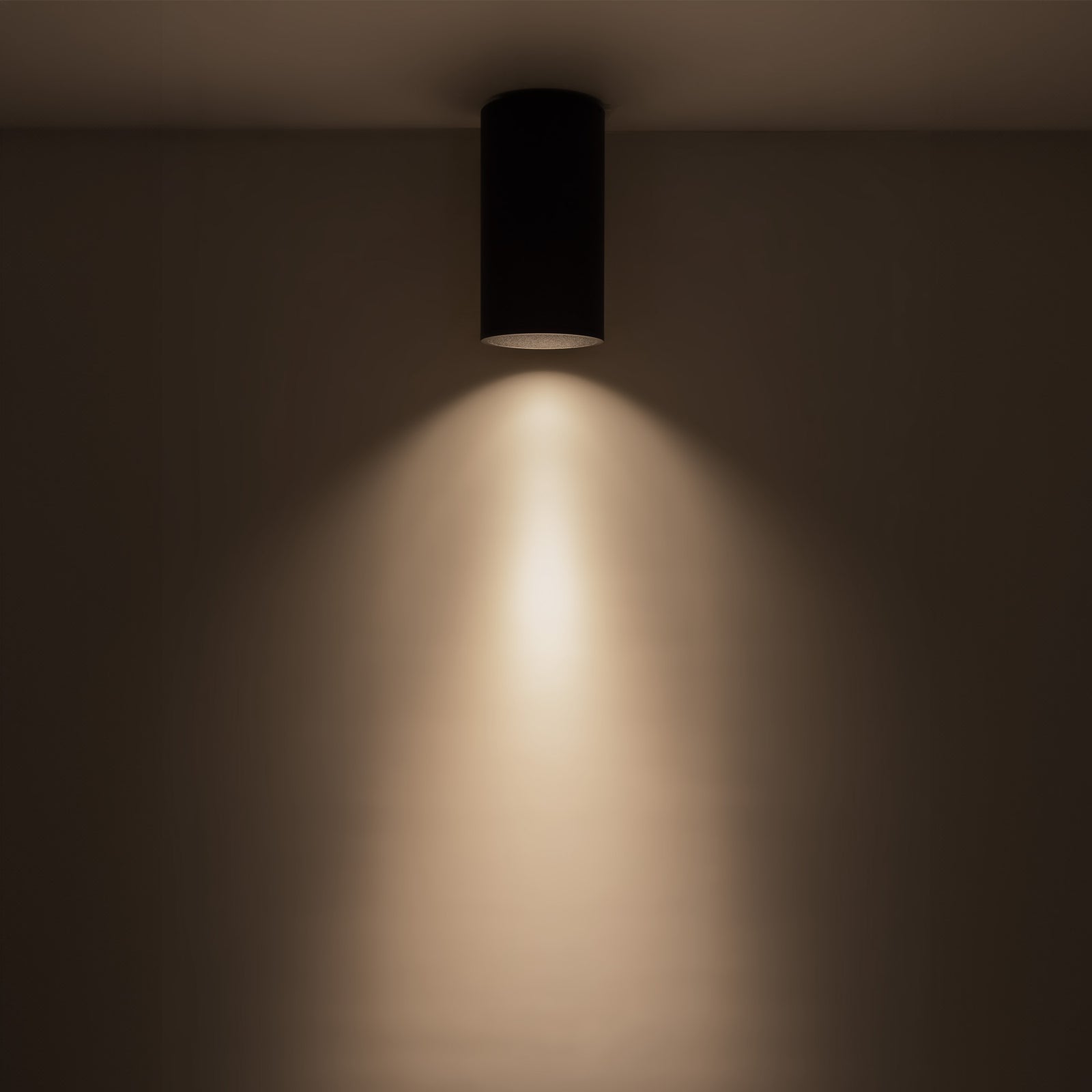Lorna 8-in (4-in Dia.) 36 Degree Optic Black LED Flush Mount