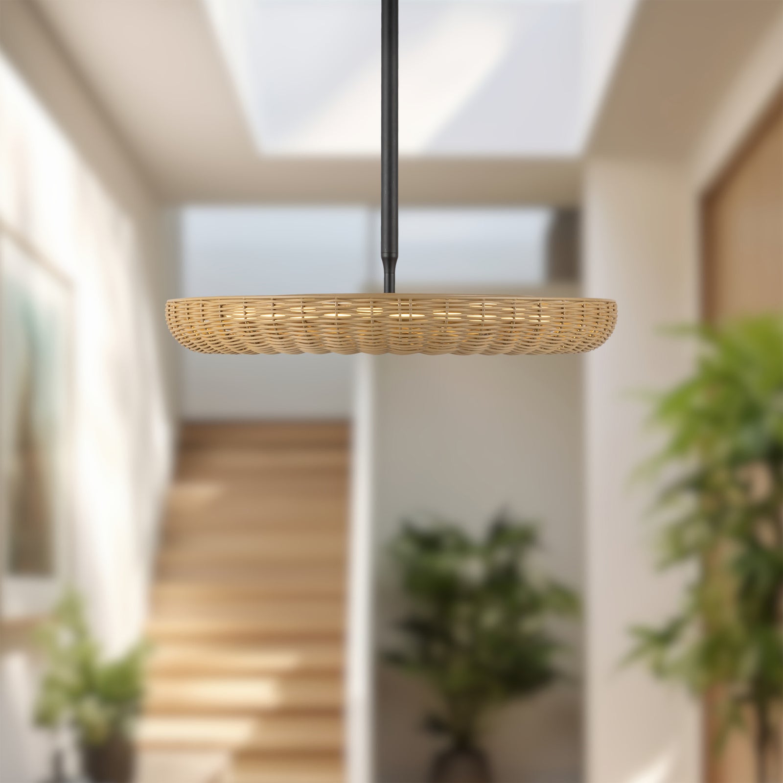 Maris 24-in Matte Black LED Chandelier