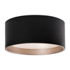 Mousinni 18-in Black LED Flush Mount