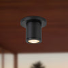Nordic 3-in (2-in Dia.) Black LED Exterior Ceiling